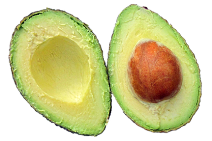 avocado